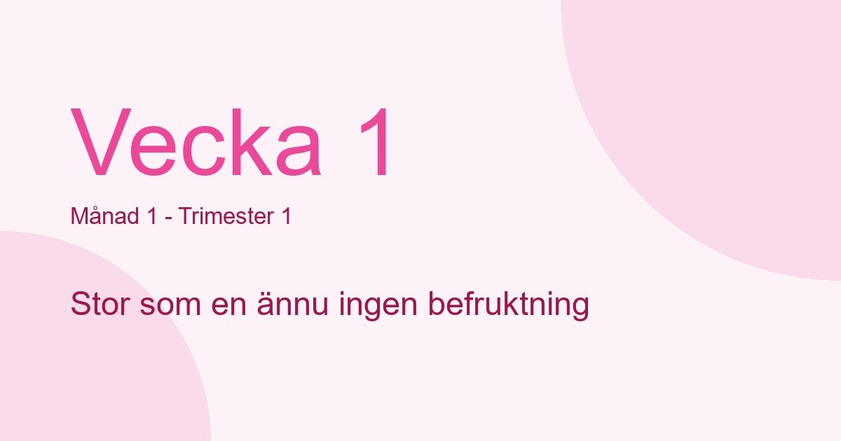 Bebisens utveckling vecka 1 - storlek som ännu ingen befruktning