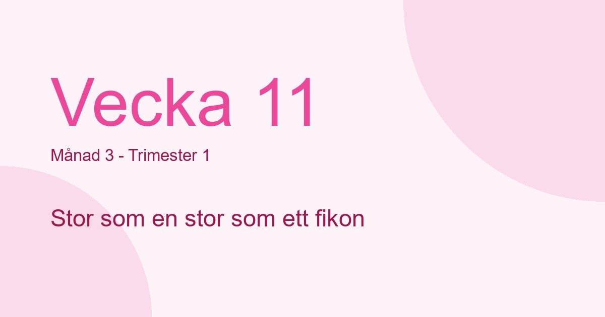 Bebisens utveckling vecka 11 - storlek som stor som ett fikon