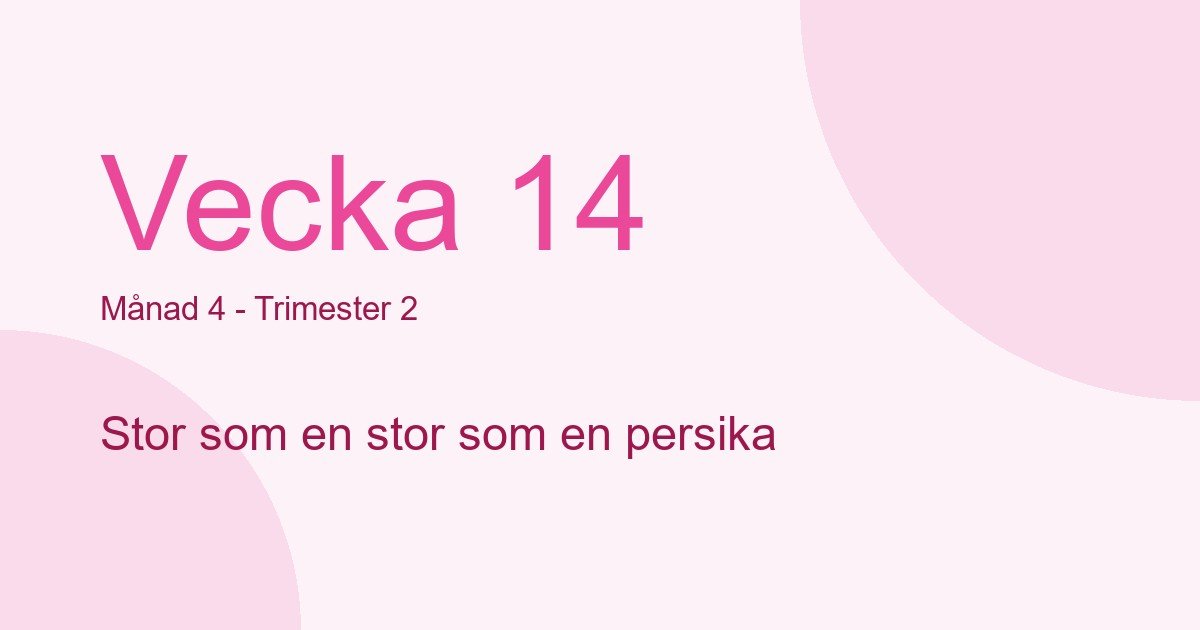 Bebisens utveckling vecka 14 - storlek som stor som en persika