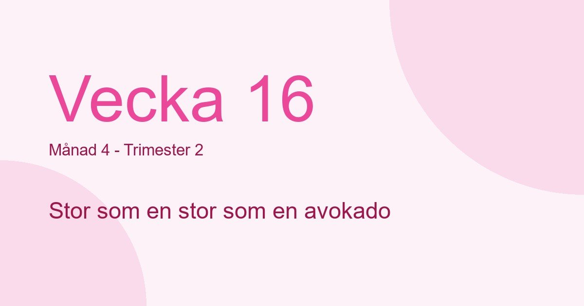 Bebisens utveckling vecka 16 - storlek som stor som en avokado