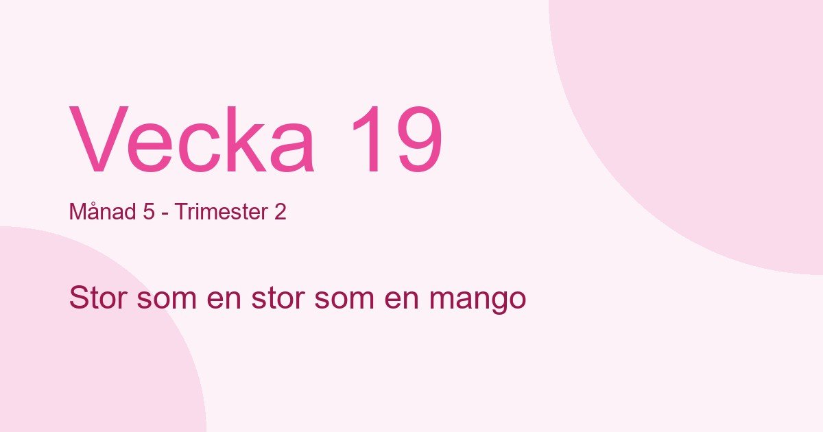 Bebisens utveckling vecka 19 - storlek som stor som en mango