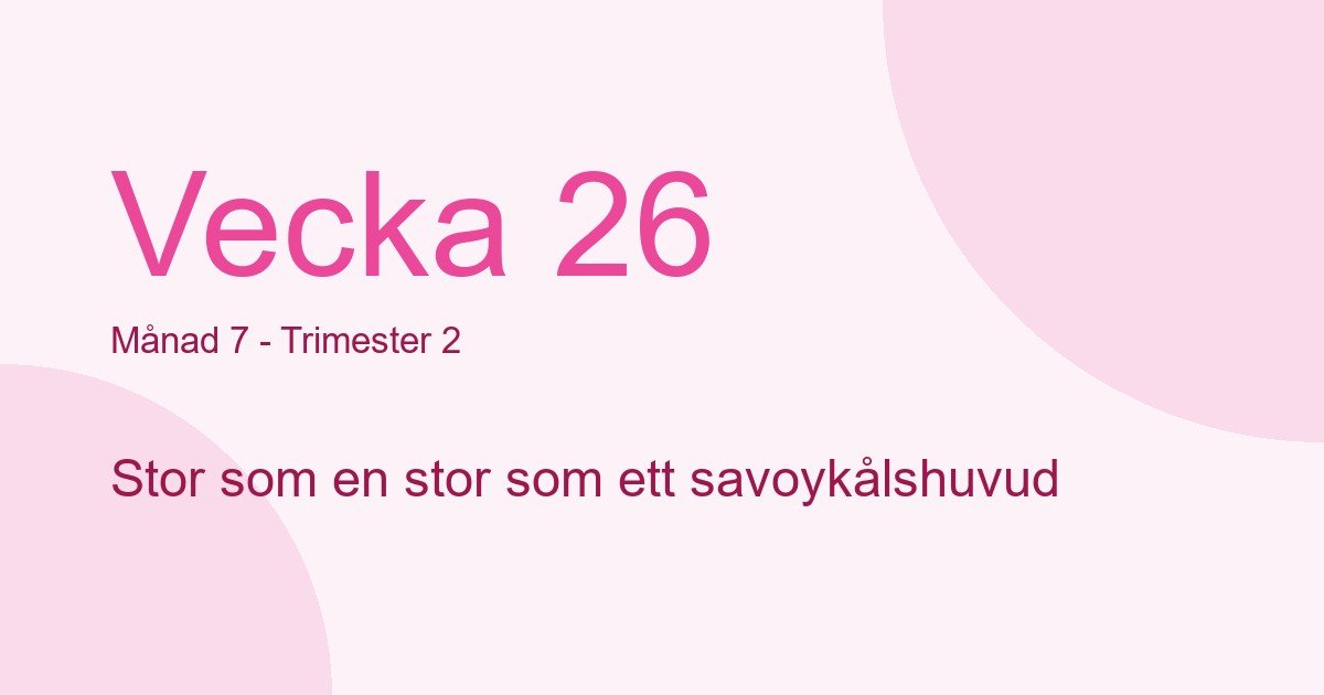 Bebisens utveckling vecka 26 - storlek som stor som ett savoykålshuvud