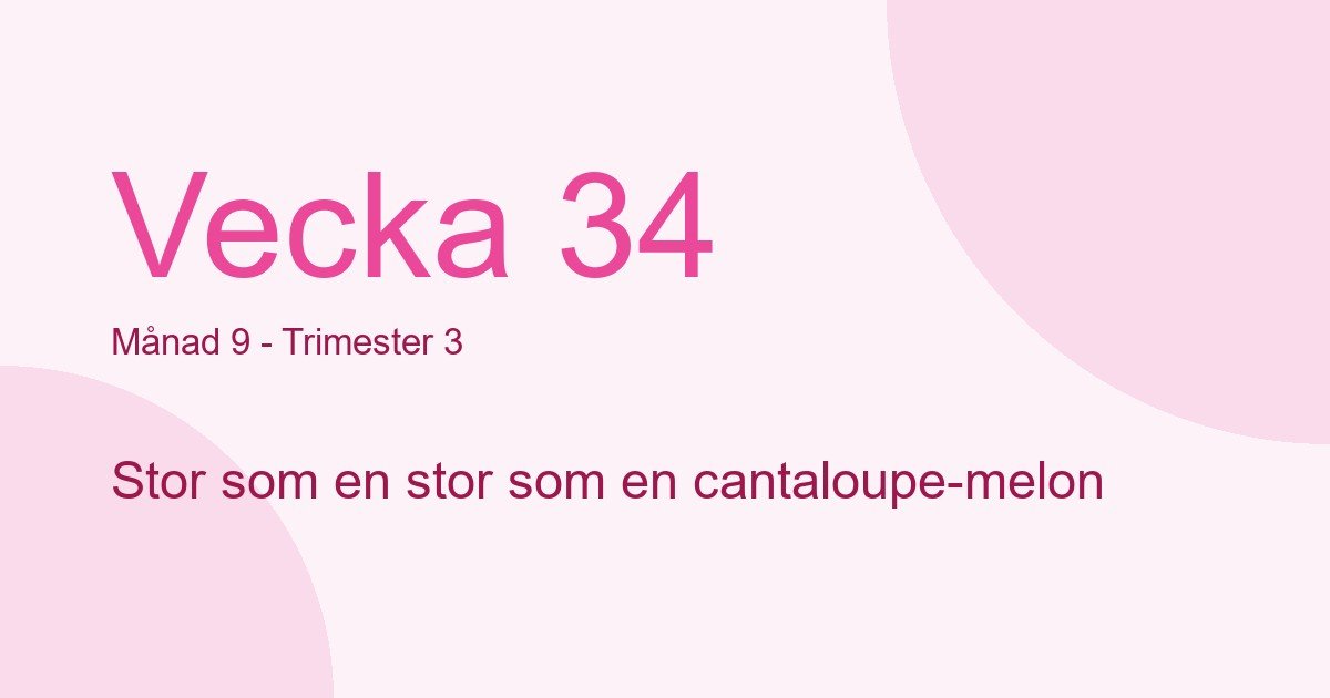 Bebisens utveckling vecka 34 - storlek som stor som en cantaloupe-melon