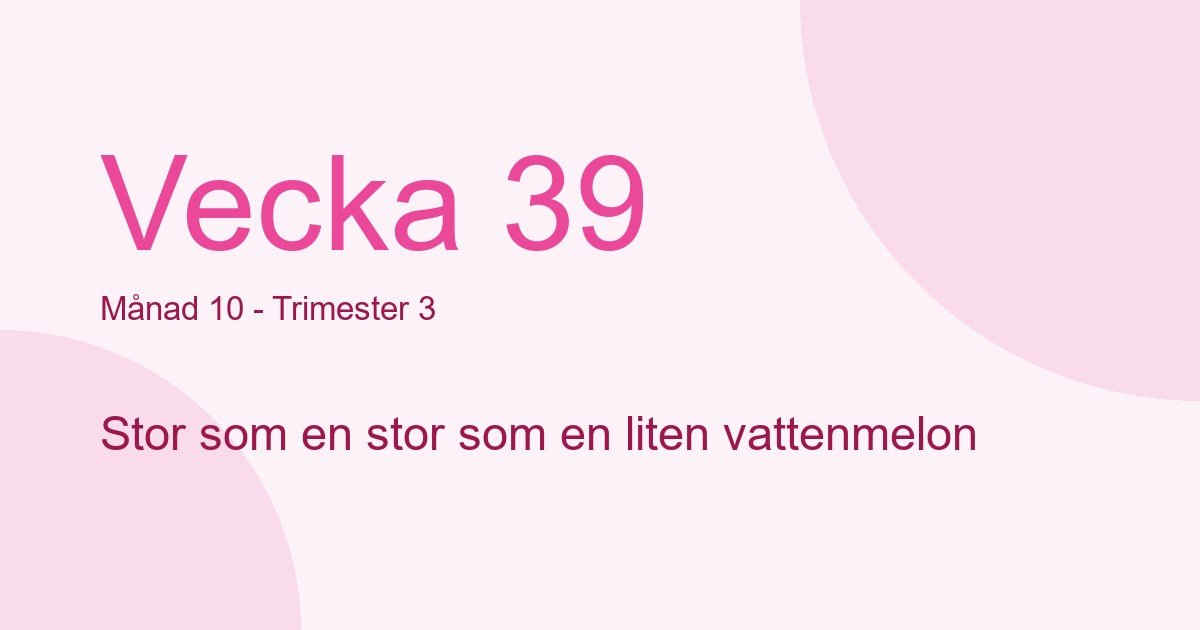 Bebisens utveckling vecka 39 - storlek som stor som en liten vattenmelon