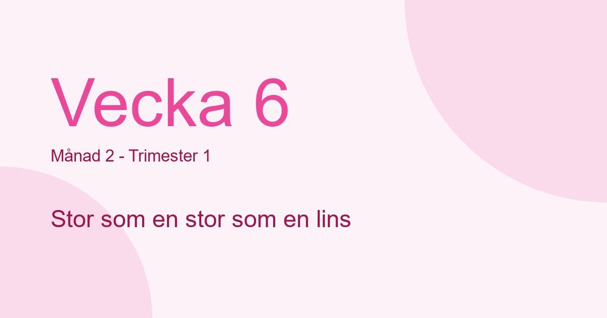 Bebisens utveckling vecka 6 - storlek som stor som en lins